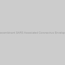 Image of Recombinant SARS Associated Coronavirus Envelope
